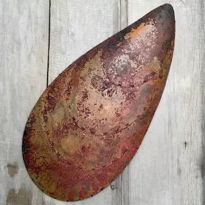 Copper Mussel Shell