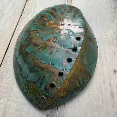 Copper Paua Shell